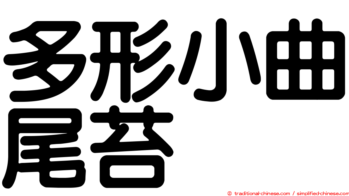 多形小曲尾苔