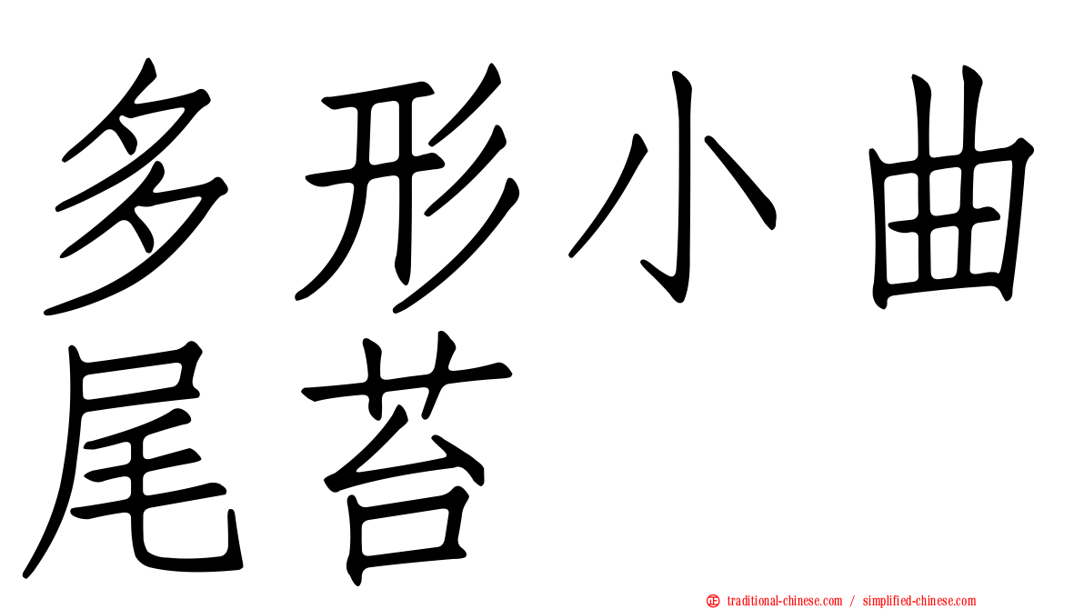 多形小曲尾苔