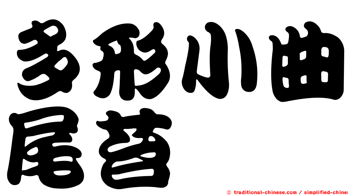 多形小曲尾苔