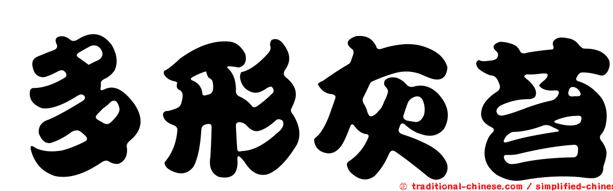 多形灰苔