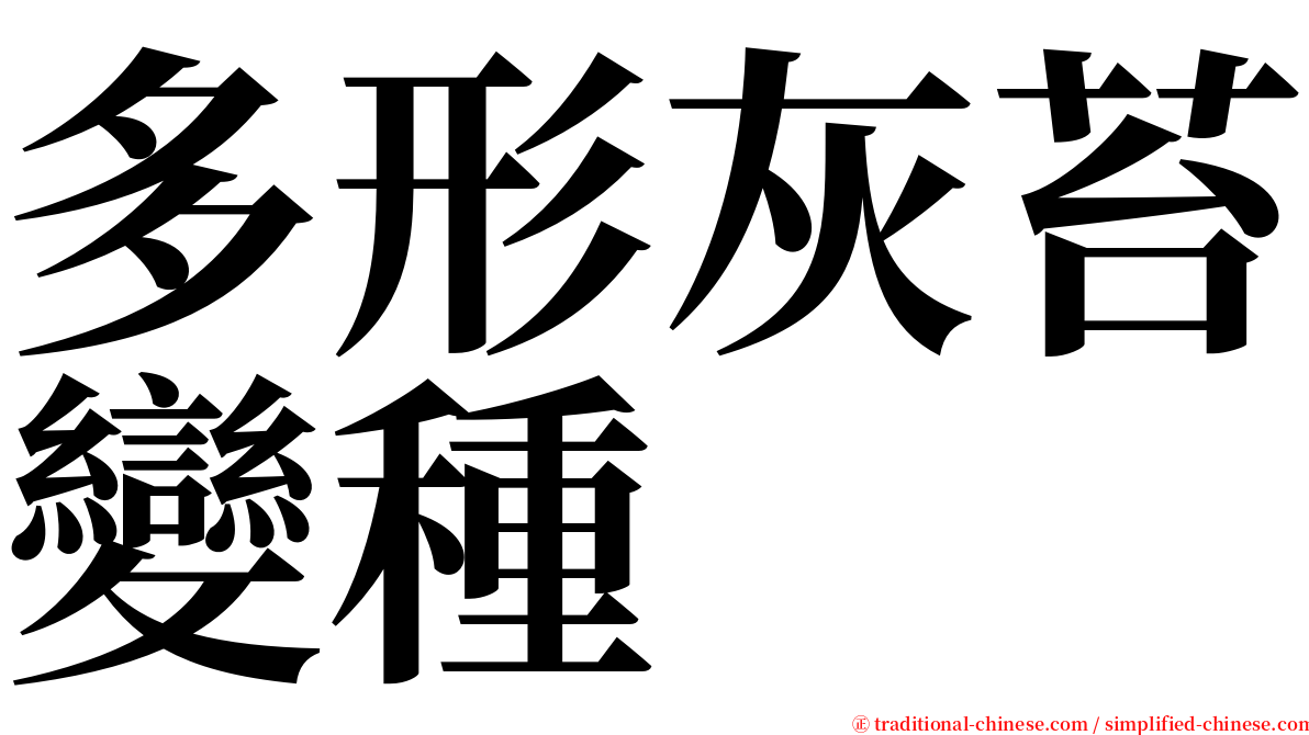 多形灰苔變種 serif font