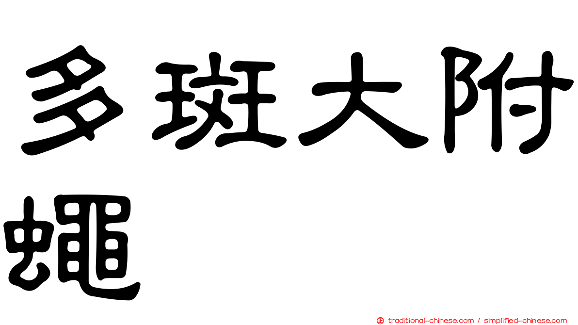 多斑大附蠅
