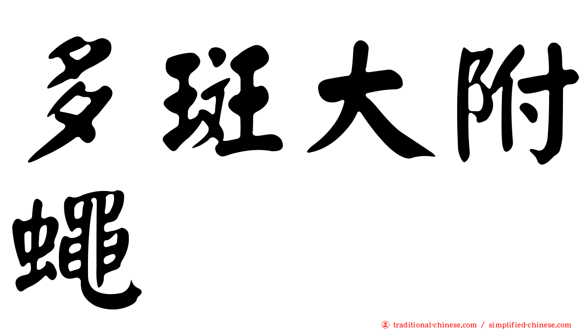 多斑大附蠅