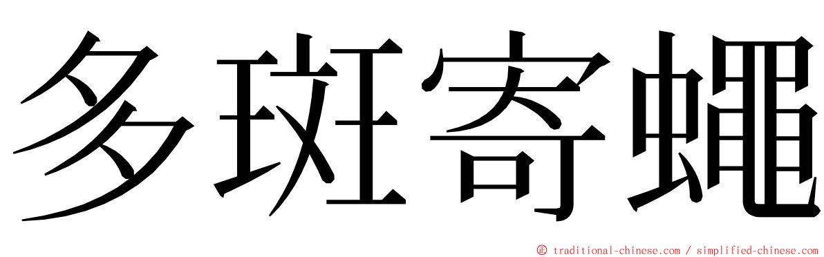 多斑寄蠅 ming font