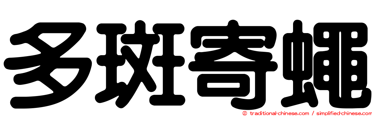 多斑寄蠅