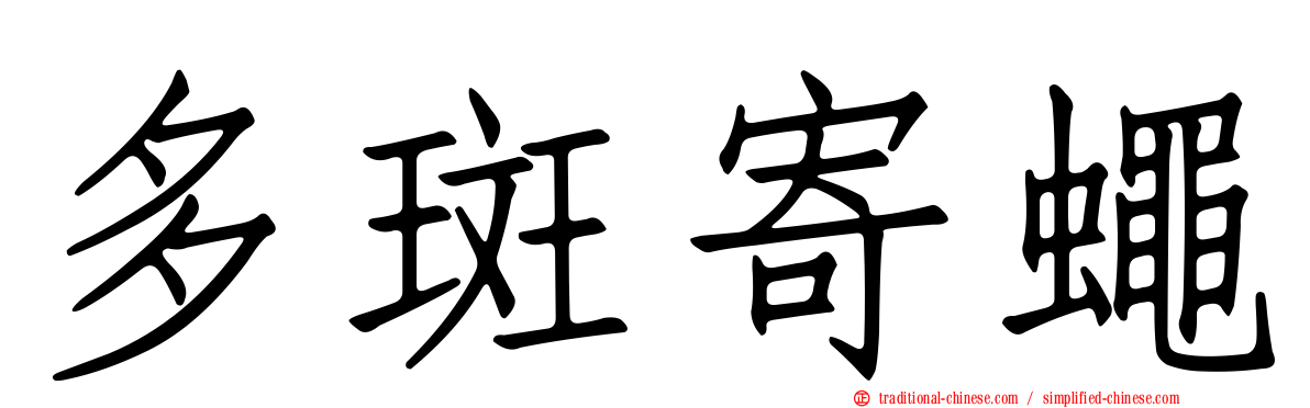 多斑寄蠅