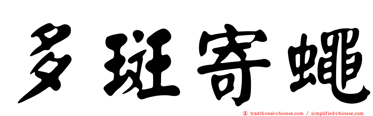 多斑寄蠅