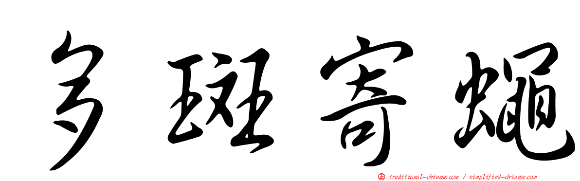 多斑寄蠅