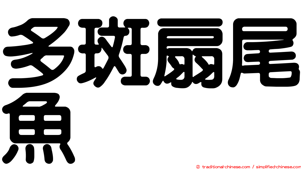 多斑扇尾魚