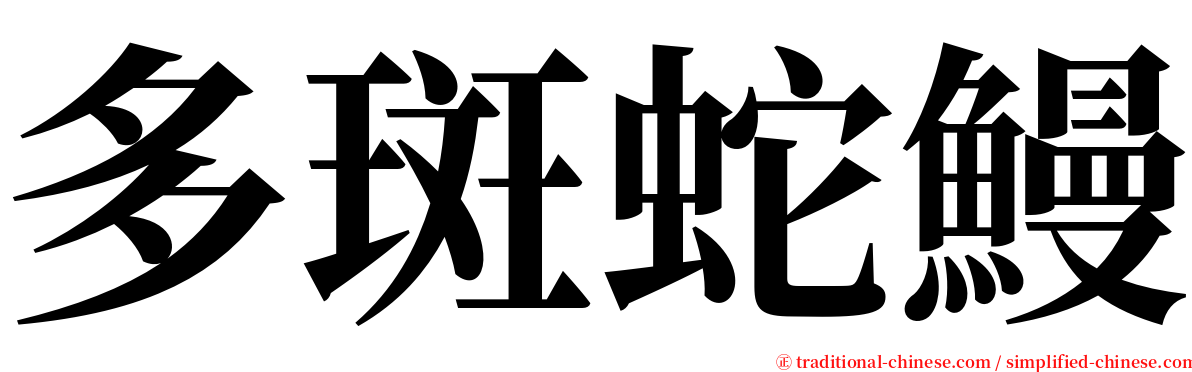 多斑蛇鰻 serif font