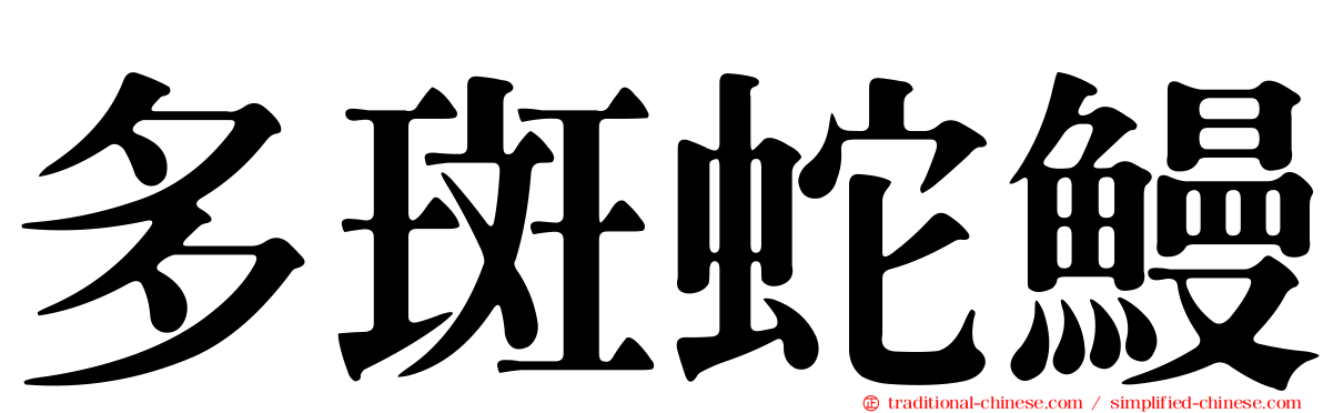 多斑蛇鰻