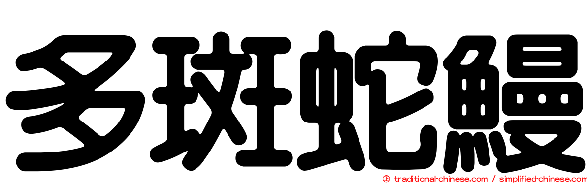 多斑蛇鰻