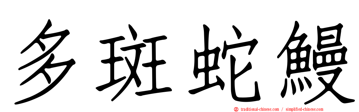多斑蛇鰻