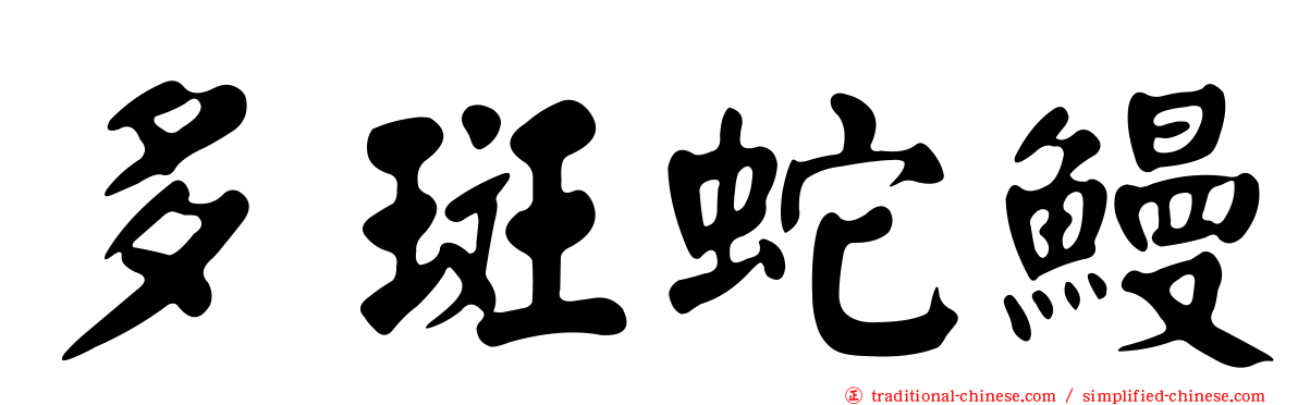 多斑蛇鰻
