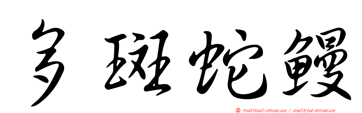 多斑蛇鰻