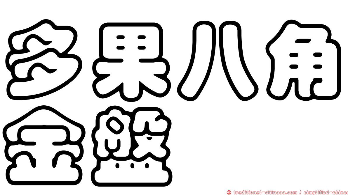 多果八角金盤