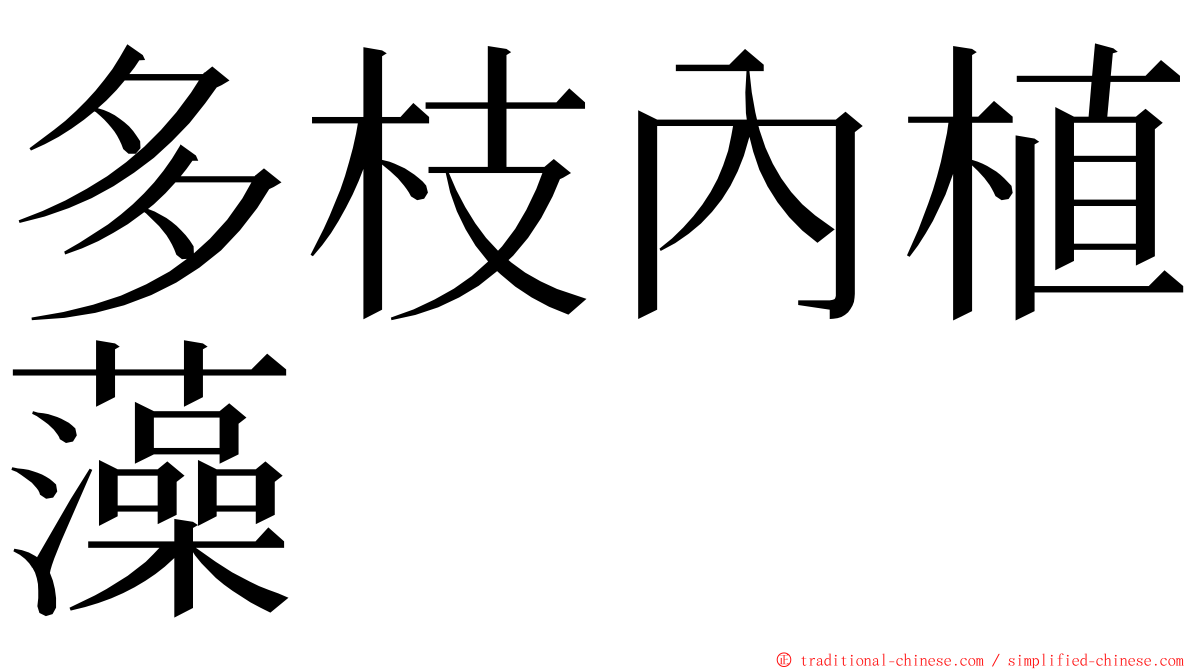 多枝內植藻 ming font