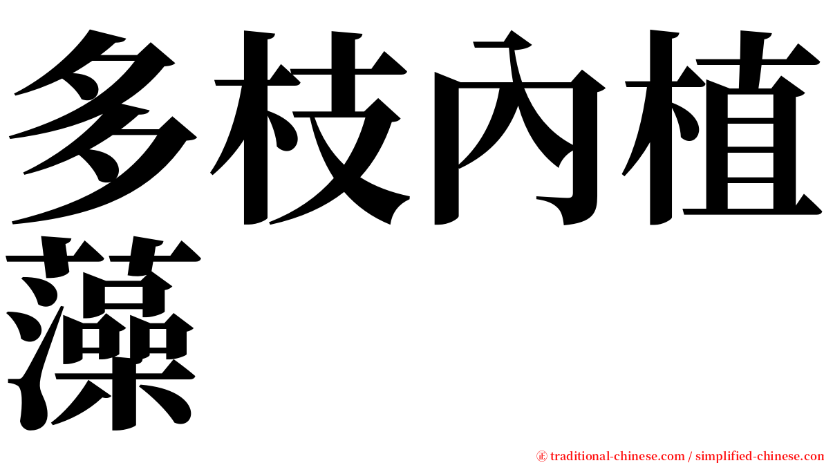 多枝內植藻 serif font