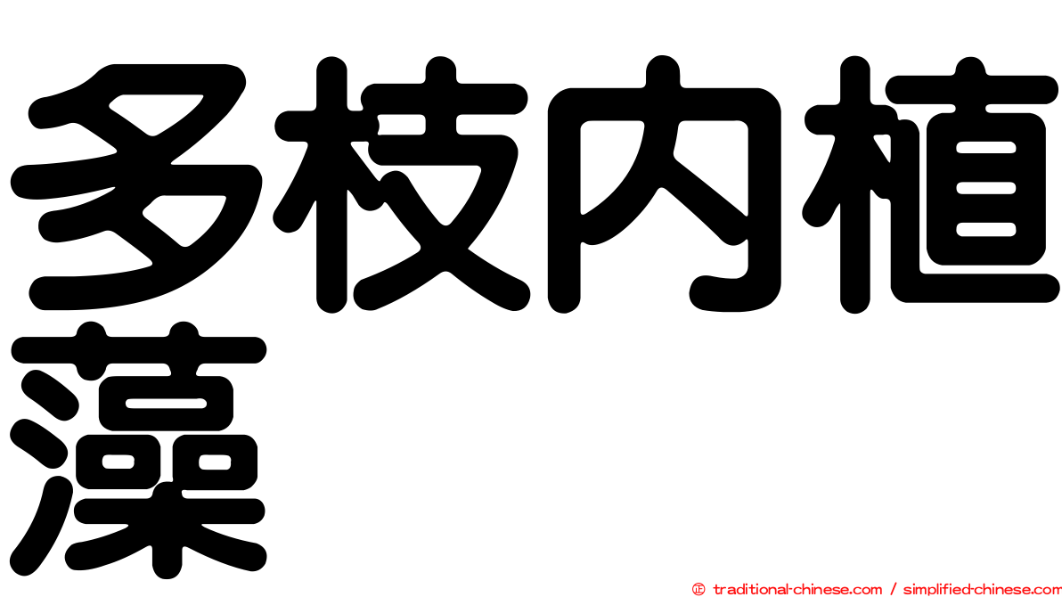 多枝內植藻