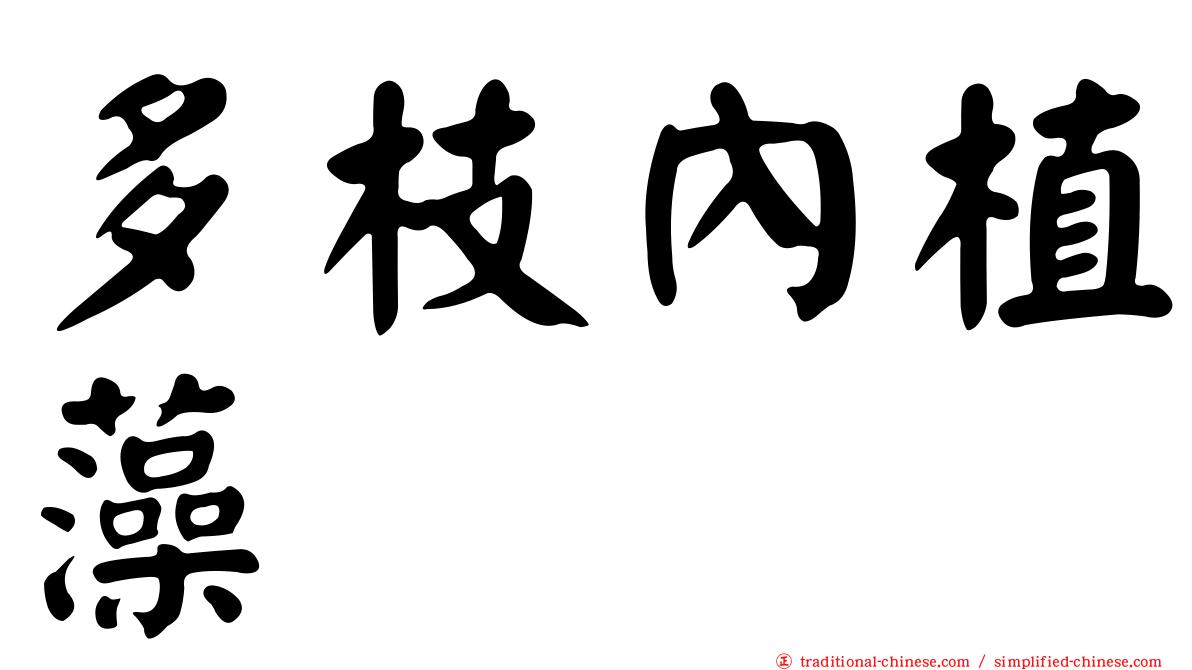 多枝內植藻