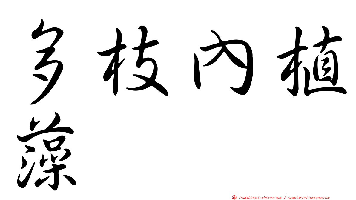 多枝內植藻