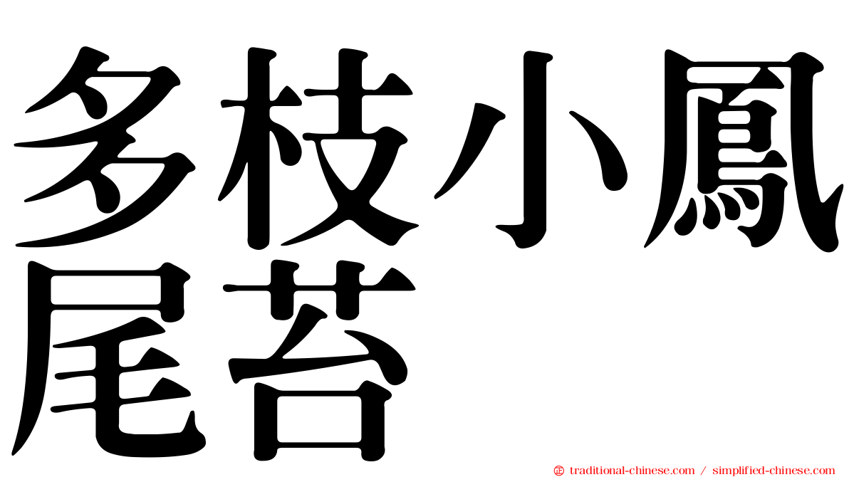 多枝小鳳尾苔