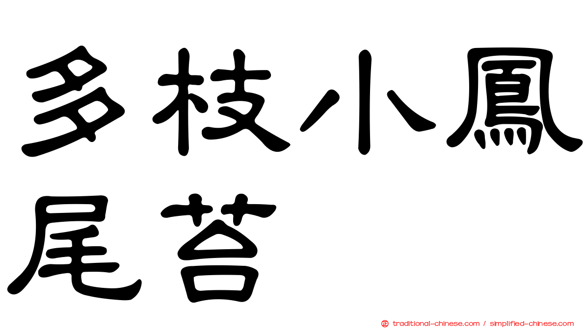 多枝小鳳尾苔