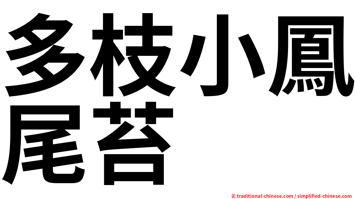 多枝小鳳尾苔