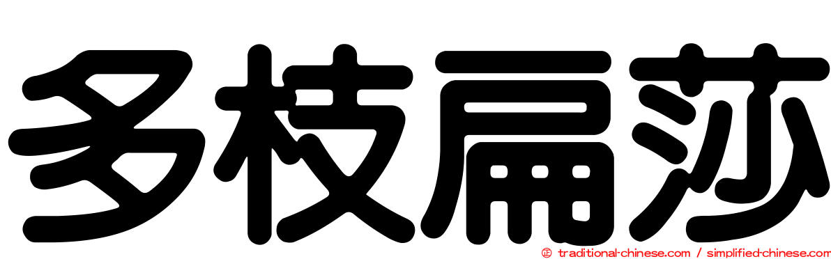 多枝扁莎
