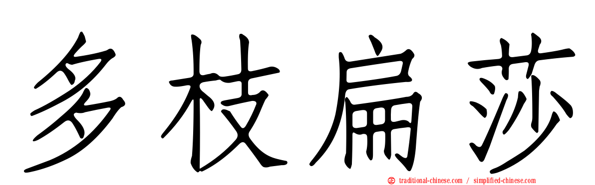 多枝扁莎