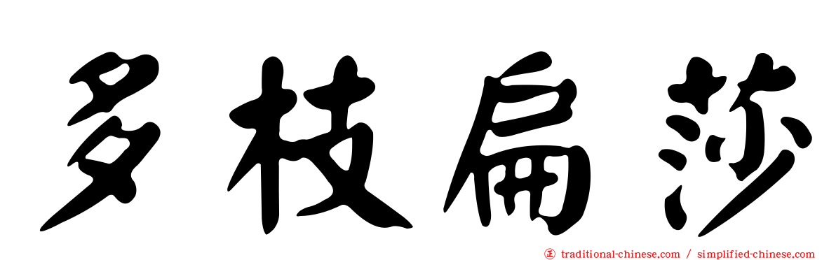多枝扁莎