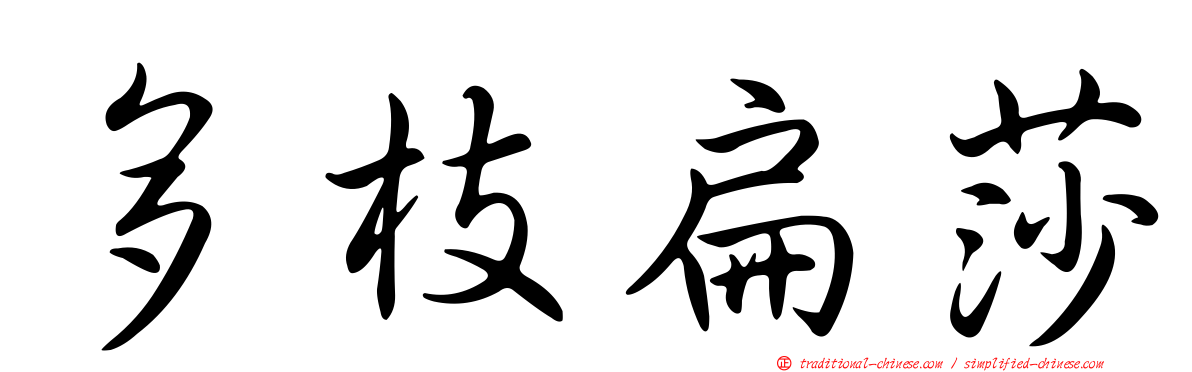 多枝扁莎