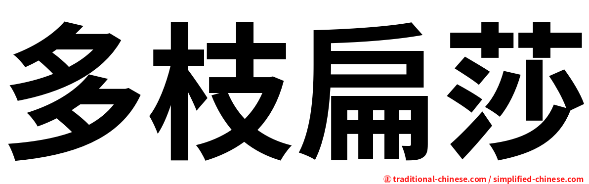 多枝扁莎