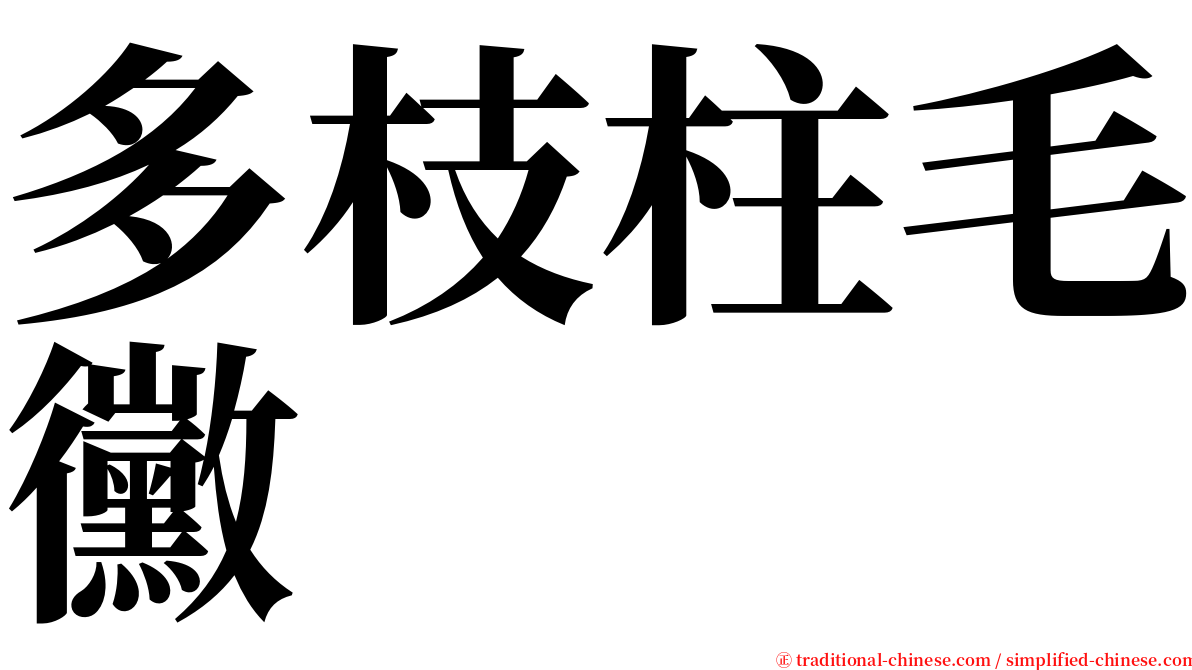 多枝柱毛黴 serif font