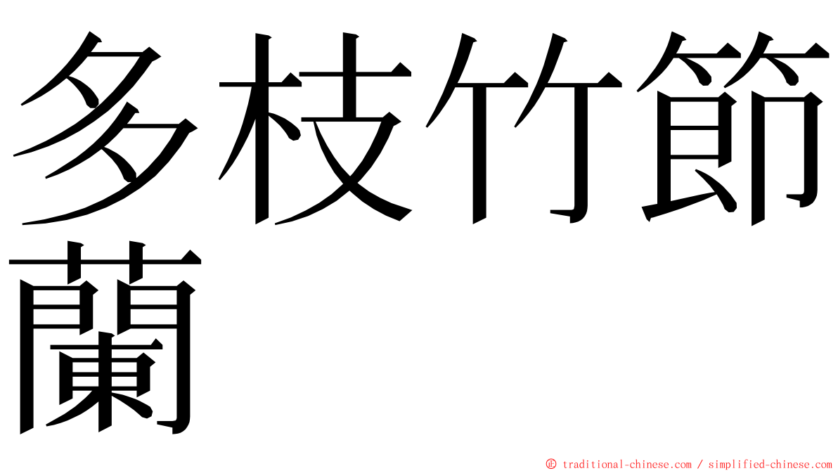 多枝竹節蘭 ming font