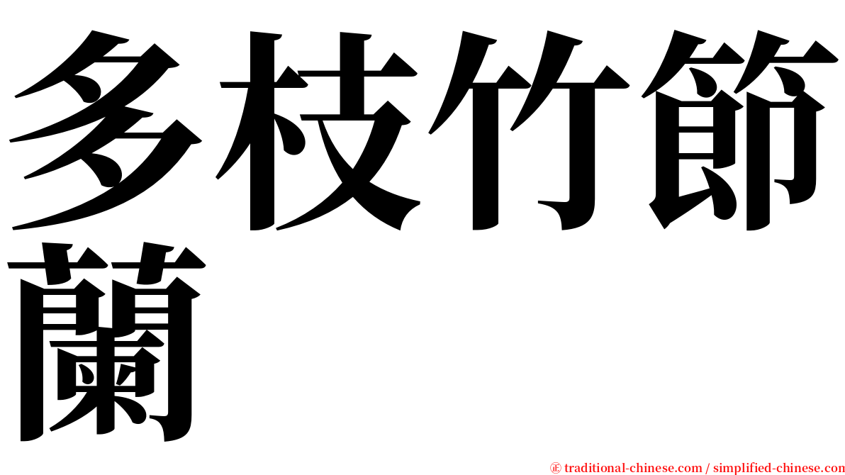 多枝竹節蘭 serif font