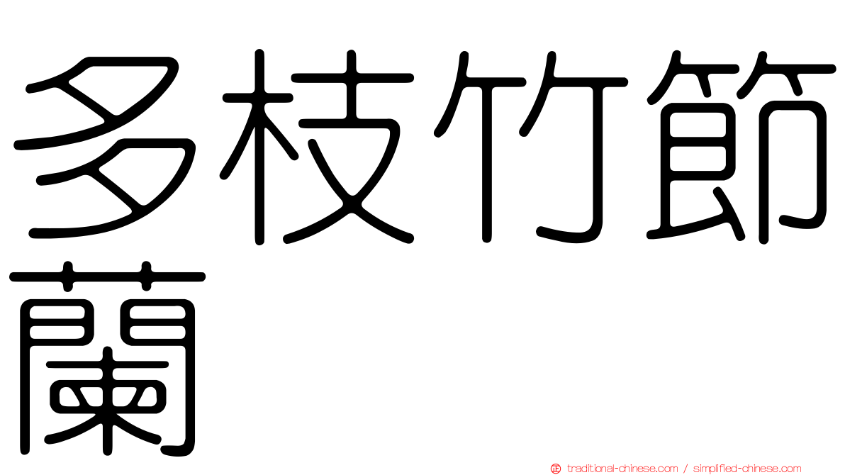 多枝竹節蘭