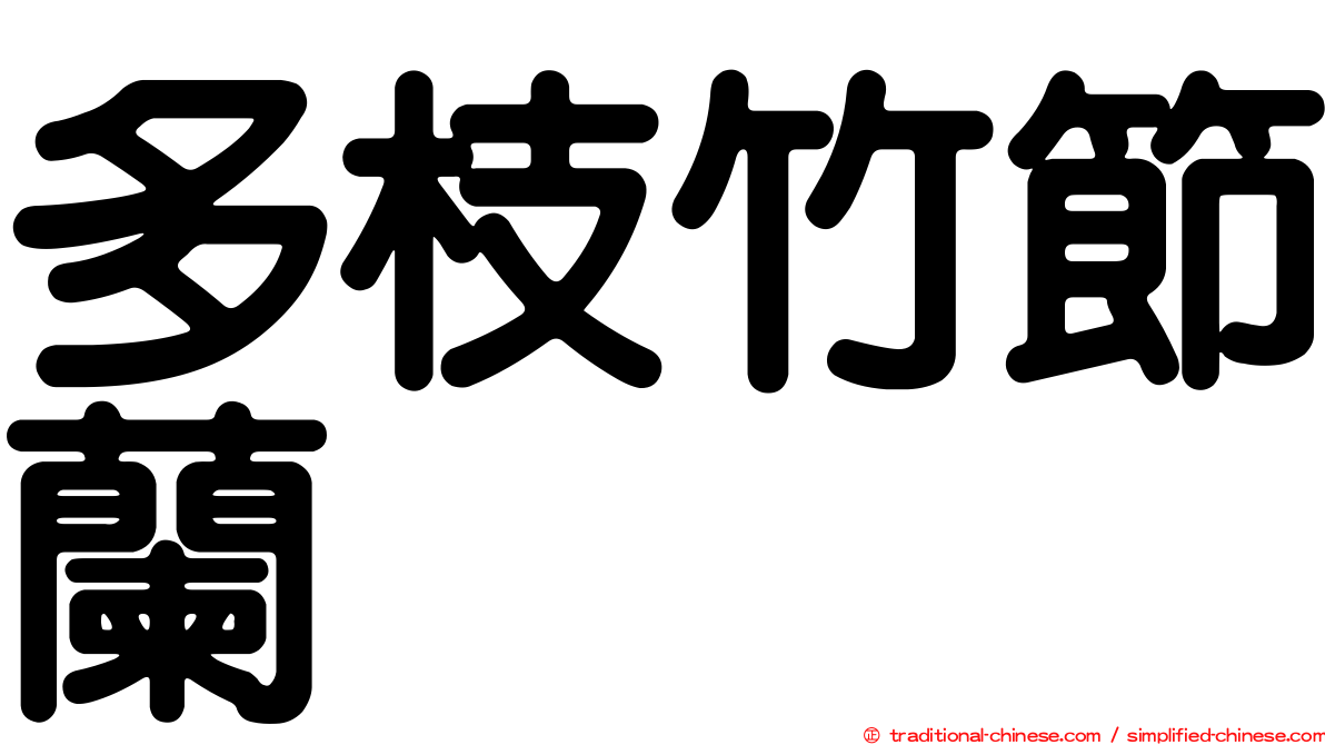 多枝竹節蘭