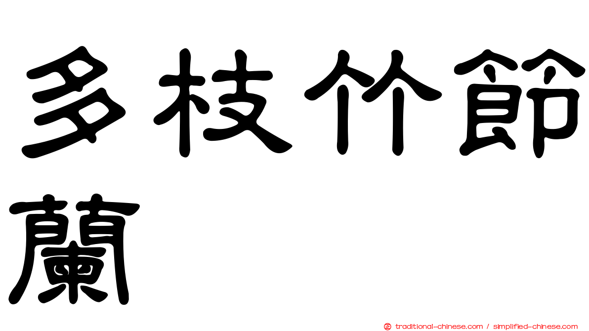 多枝竹節蘭