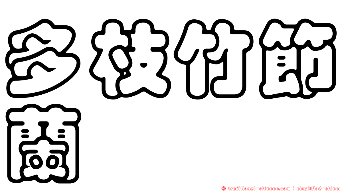 多枝竹節蘭