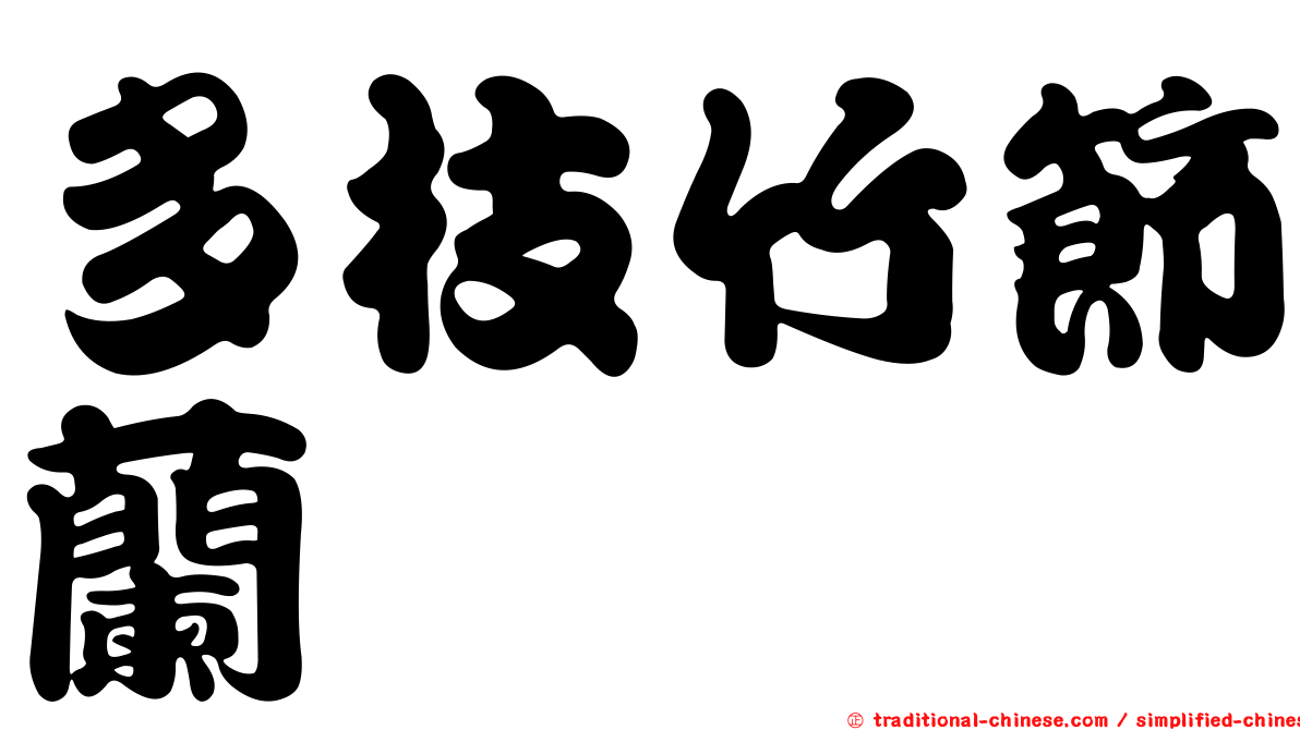 多枝竹節蘭