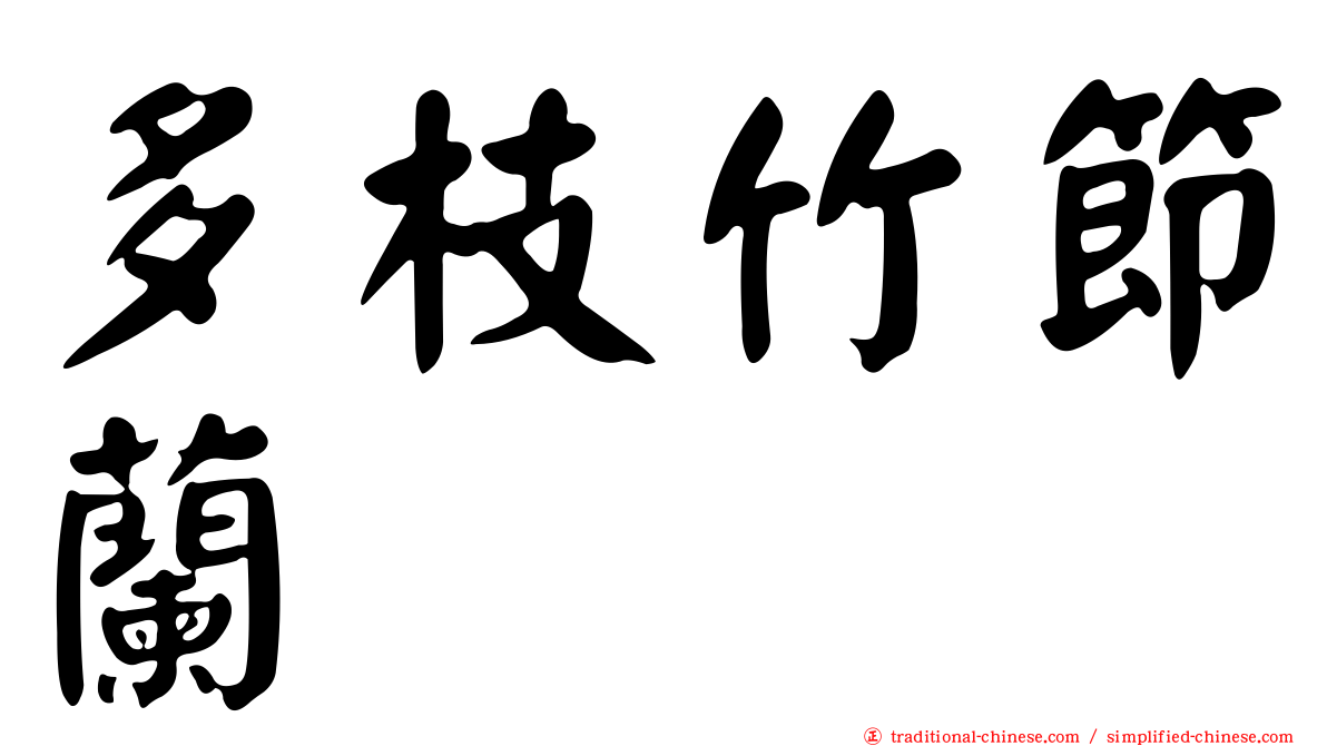 多枝竹節蘭