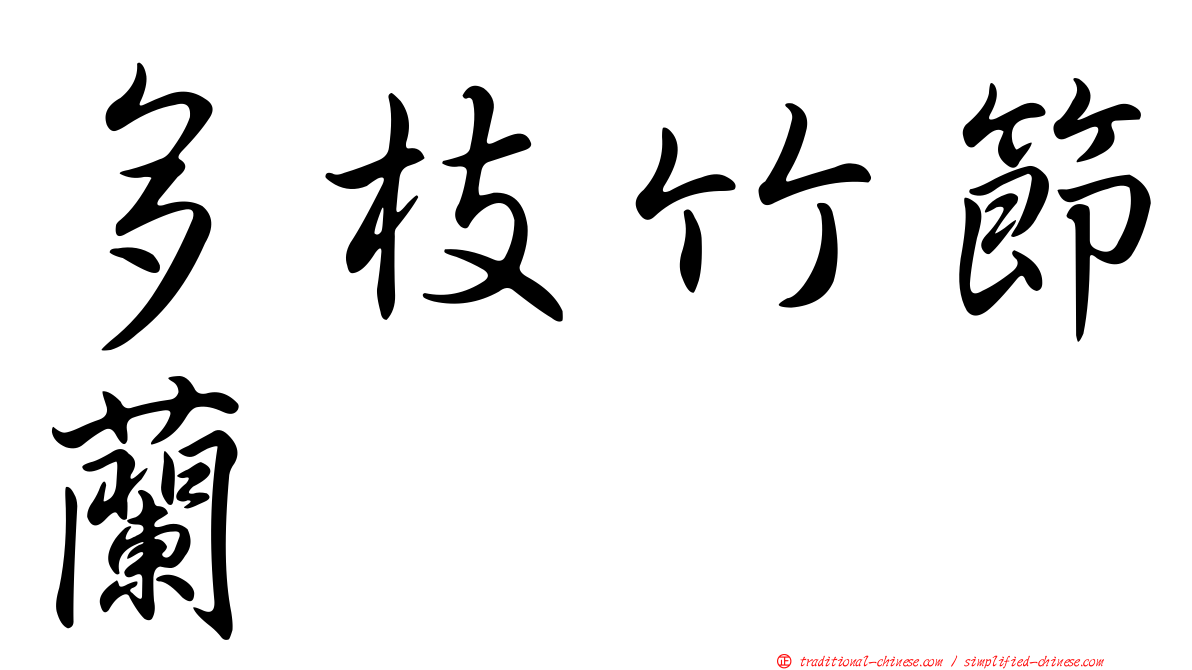 多枝竹節蘭