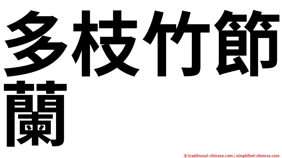 多枝竹節蘭