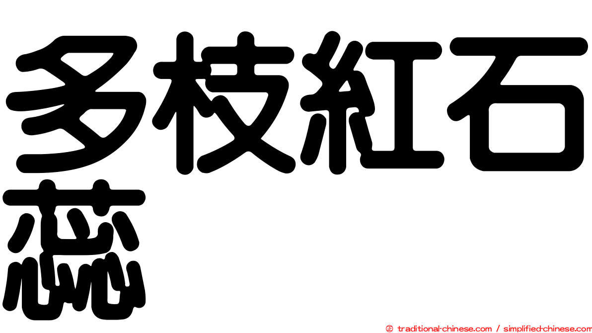 多枝紅石蕊