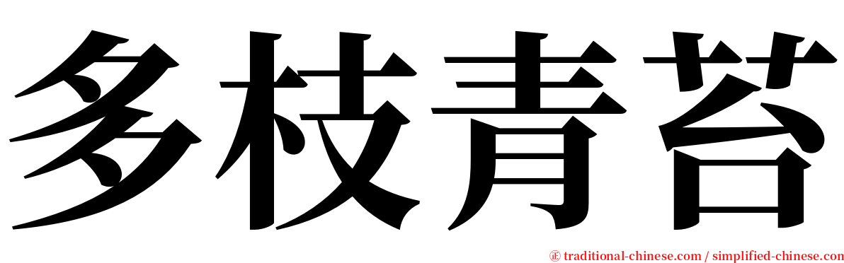 多枝青苔 serif font