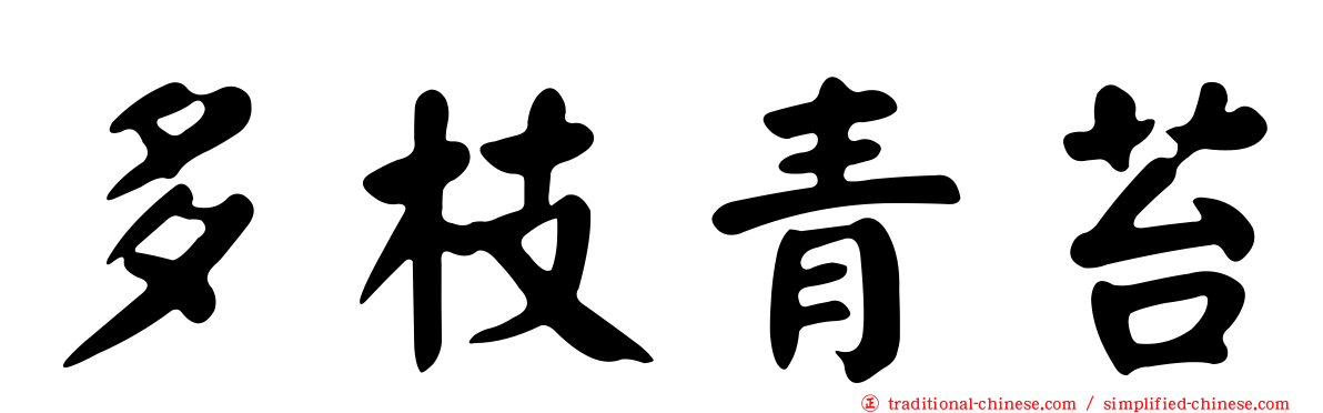 多枝青苔