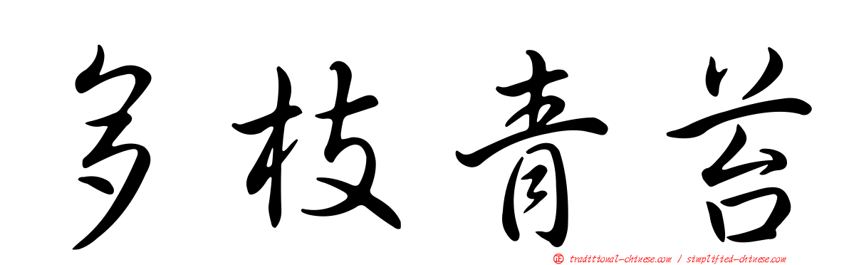 多枝青苔