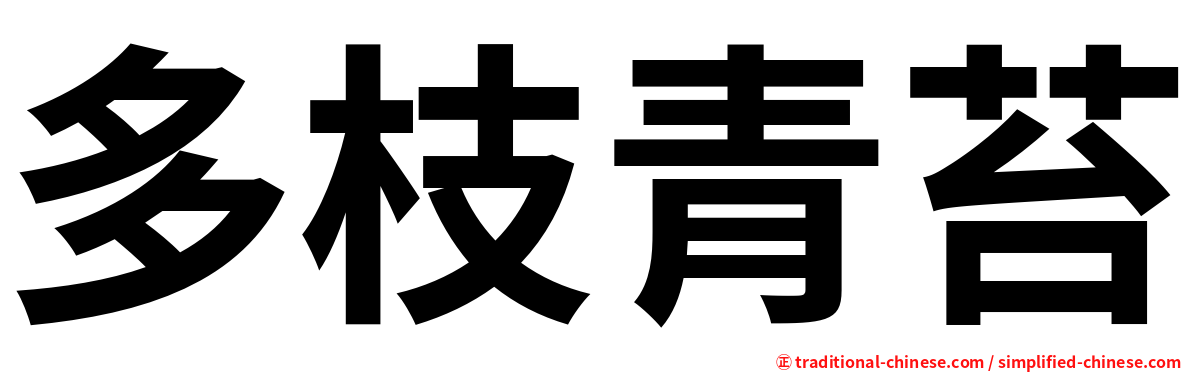 多枝青苔