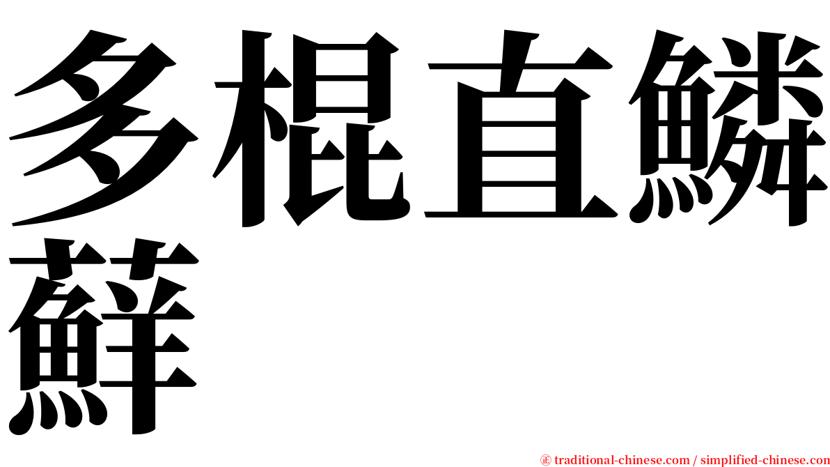 多棍直鱗蘚 serif font